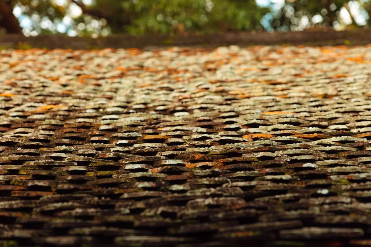 Roof Leak Repair in Bellevue, WA